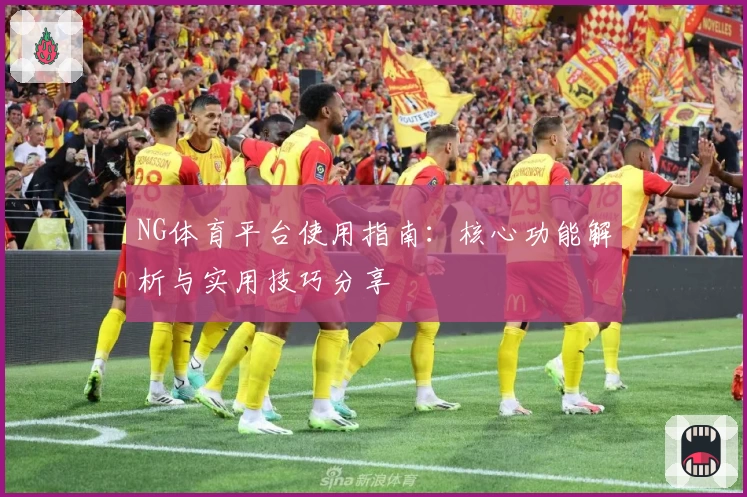 NG体育平台使用指南：核心功能解析与实用技巧分享