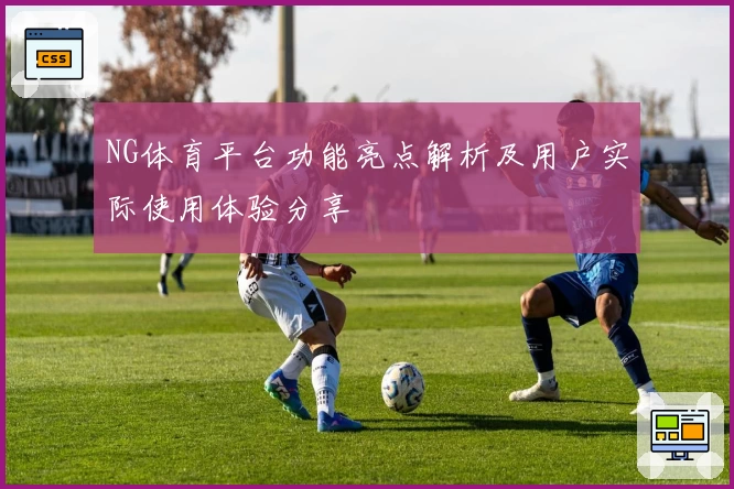 NG体育平台功能亮点解析及用户实际使用体验分享
