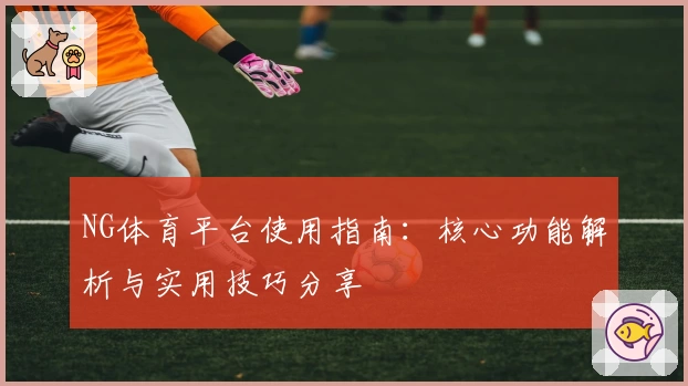 NG体育平台使用指南：核心功能解析与实用技巧分享